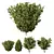 Variety-Size Bush 3D Models 3D model small image 1