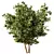 Variety-Size Bush 3D Models 3D model small image 2