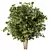 Variety-Size Bush 3D Models 3D model small image 3