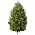 Variety-Size Bush 3D Models 3D model small image 5