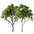 Spring Acer Pseudoplatanus 3D Models 3D model small image 1