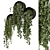 Modern Indoor Hanging Plants Set 3D model small image 1
