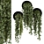 Modern Indoor Hanging Plants Set 3D model small image 2