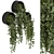 Modern Indoor Hanging Plants Set 3D model small image 3