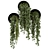 Modern Indoor Hanging Plants Set 3D model small image 5