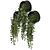 Modern Indoor Hanging Plants Set 3D model small image 6