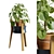 Modern Pilea Wood Stand Display 3D model small image 1