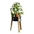 Modern Pilea Wood Stand Display 3D model small image 2