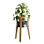 Modern Pilea Wood Stand Display 3D model small image 4