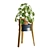 Modern Pilea Wood Stand Display 3D model small image 5