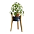 Modern Pilea Wood Stand Display 3D model small image 6