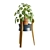 Modern Pilea Wood Stand Display 3D model small image 7