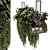 Metal Box Indoor Hanging Plants 3D model small image 2