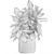 Modern Ficus Tree Collection 1466 3D model small image 7