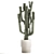 Modern Saguaro Cactus Set 3D model small image 2