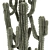 Modern Saguaro Cactus Set 3D model small image 6