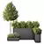 Greenery Garden Bushes Tree Pack 3D model small image 2