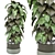 Indoor Plants Set 1148 3D 3D model small image 1