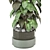 Indoor Plants Set 1148 3D 3D model small image 2