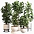 Modern Indoor Plant Set 034 3D model small image 1