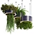 High-Quality Hanging Plant Set 3D model small image 1