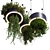 High-Quality Hanging Plant Set 3D model small image 3