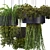 High-Quality Hanging Plant Set 3D model small image 4