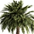 Tropical Palm Tree 3D Model 3D model small image 2