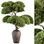 Topiary Ball Indoor Plant 656 3D model small image 1