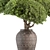 Topiary Ball Indoor Plant 656 3D model small image 3