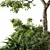 Outdoor Plant Set 29 Bundle 3D model small image 5