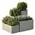 Garden Box Tree Bush Models 3D model small image 1