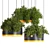 Premium Hanging Plants 3D Model 3D model small image 2