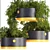 Premium Hanging Plants 3D Model 3D model small image 5