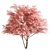 Cherry Plum Tree Set 290 3D model small image 1