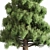 Pine Tree Set for 3D 3D model small image 2