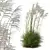 Ornamental Miscanthus Grass Bundle 3D model small image 2