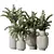 Premium ZZ Plant Houseplant 3D 3D model small image 1