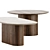 Stylish Santiago Coffee Tables 3D model small image 2