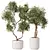 Majestic Artificial Olive Tree Set 3D model small image 1