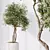 Majestic Artificial Olive Tree Set 3D model small image 2