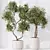 Majestic Artificial Olive Tree Set 3D model small image 4