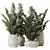 ZZ Zamioculcas Houseplant Variety Set 3D model small image 1