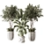 Modern Indoor Plant 3D Model 3D model small image 1