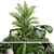  Verdant Foliage Collection 1026 3D model small image 1