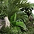  Verdant Foliage Collection 1026 3D model small image 3