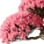 Pink Bonsai Indoor Plant 3D model small image 2