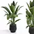 6-Pack Indoor Plant Set 3D model small image 1