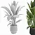 6-Pack Indoor Plant Set 3D model small image 3