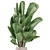 Modern Indoor Plants Set 1958 3D model small image 2